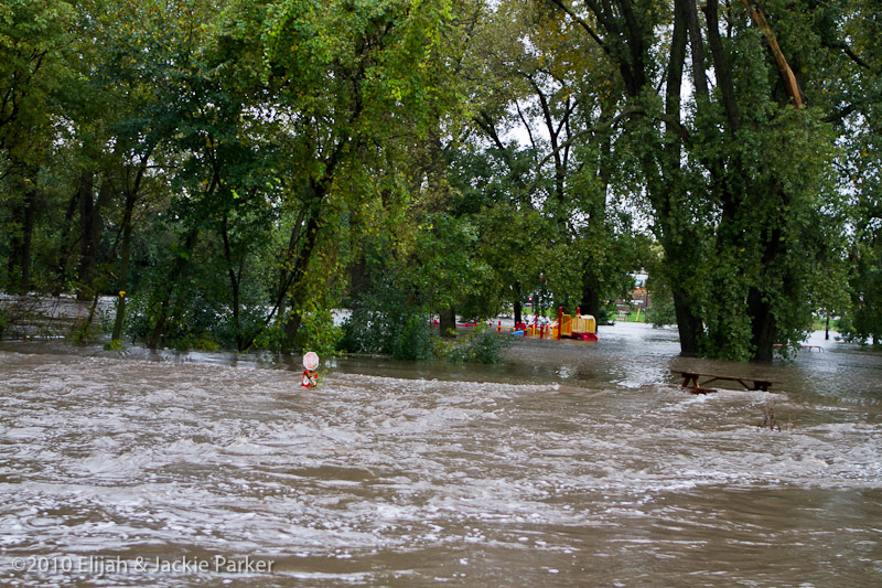 Flooding in Pine Island, MN