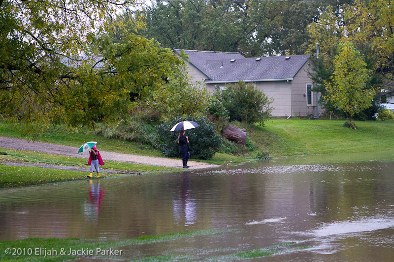 Flooding in Pine Island, MN