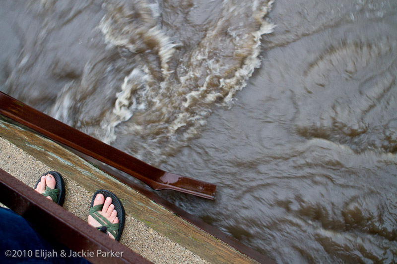 Flooding in Pine Island, MN