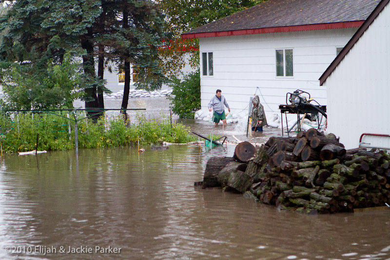 Flooding in Pine Island, MN