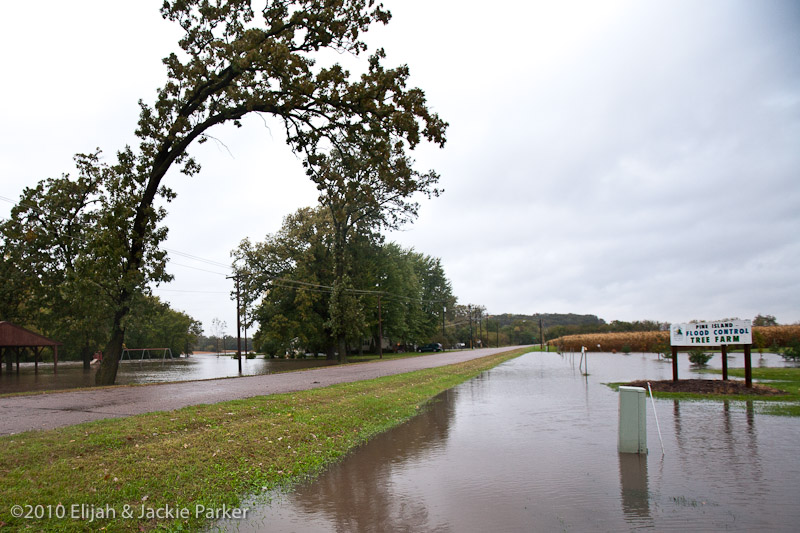 Flooding in Pine Island, MN